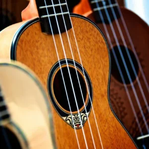 Harmonic Stride Acoustic Guitar